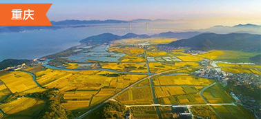 重慶土地整治項(xiàng)目造價軟件